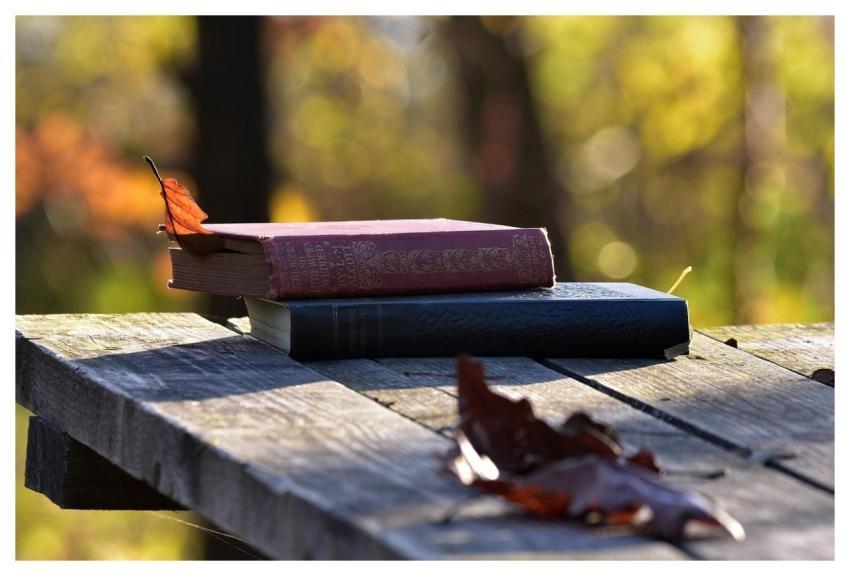 Books Literatures Wood Knowledge