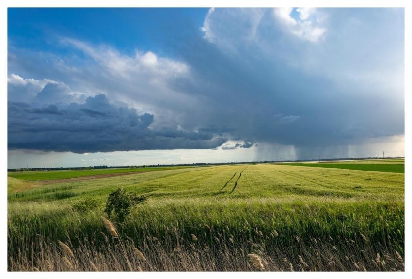Storm Wheat Field Clouds Sky