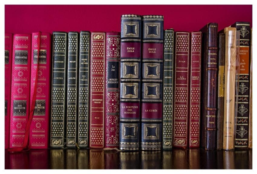 Literature Bookcase Library Wisdom