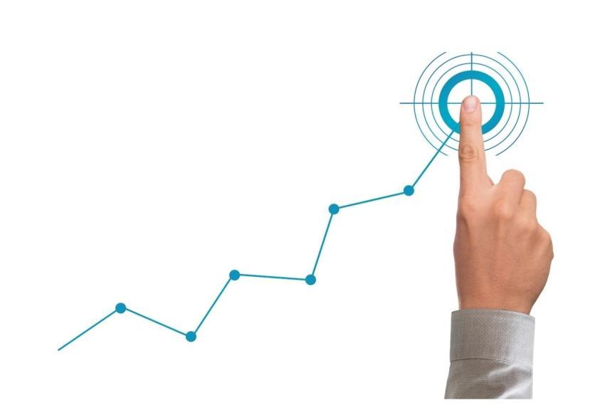 Goal Business Idea Growth