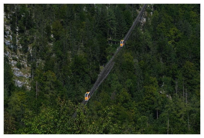 Rails Mountains Forest Trees
