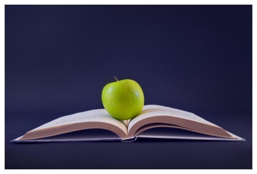 Apple Fruit Desktop Backgrounds Book