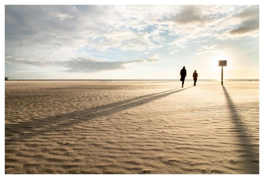 Sand Beach Shore Sandy