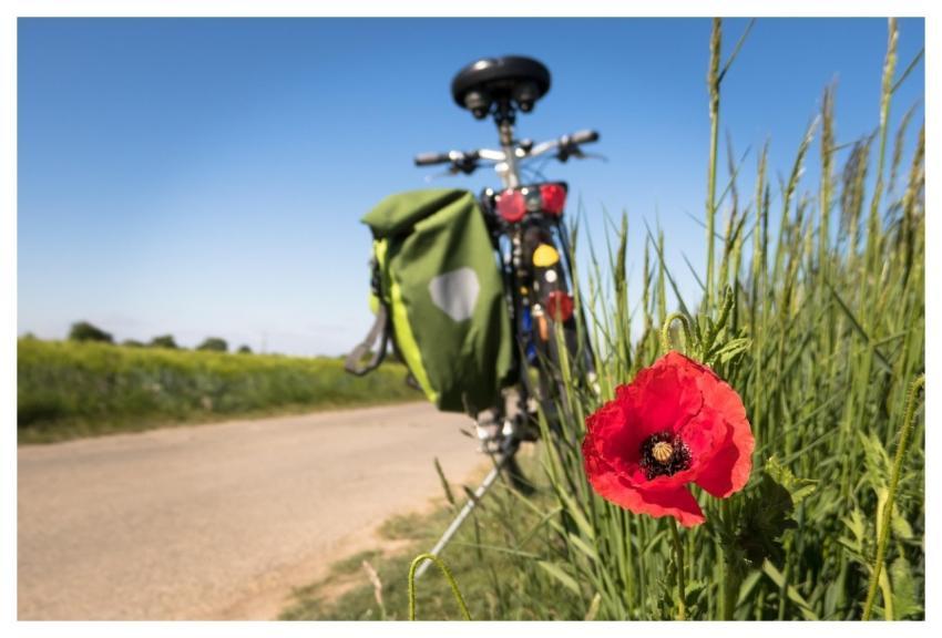 To Go Biking Poppy Leisure Time Bicycle