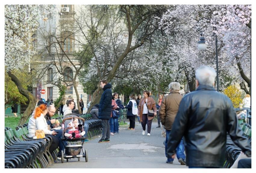 People Beautiful Flowers Outdoors Blossom