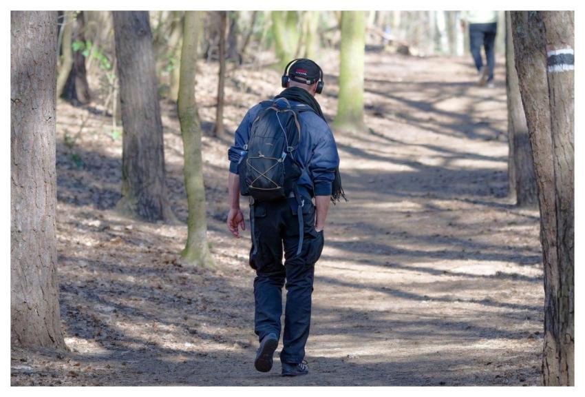 Man Trees Casual Backpack