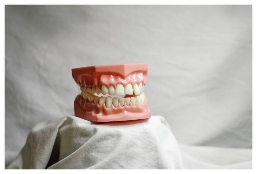 Teeth Dental Dental Model Mouth Model