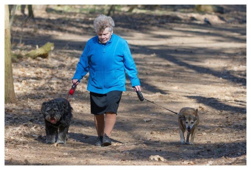 Woman Elderly Casual Nature