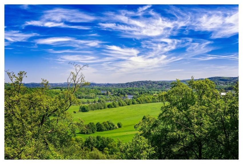 Field Landscape Nature Germany