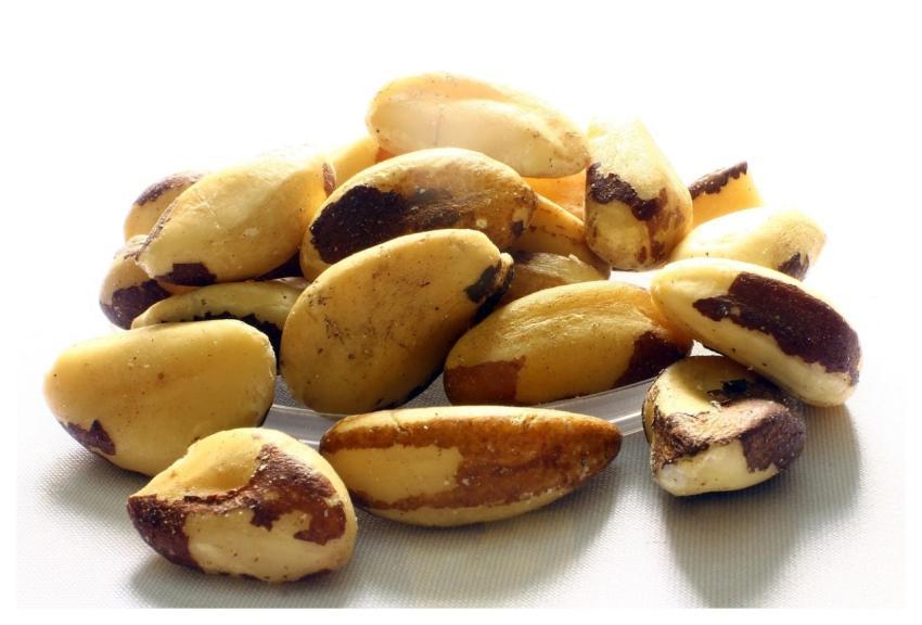Brazil Nuts Acrid Chestnut I Will Play Tururi