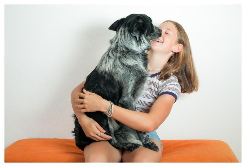 Pet Dog Sheep Dog Girl