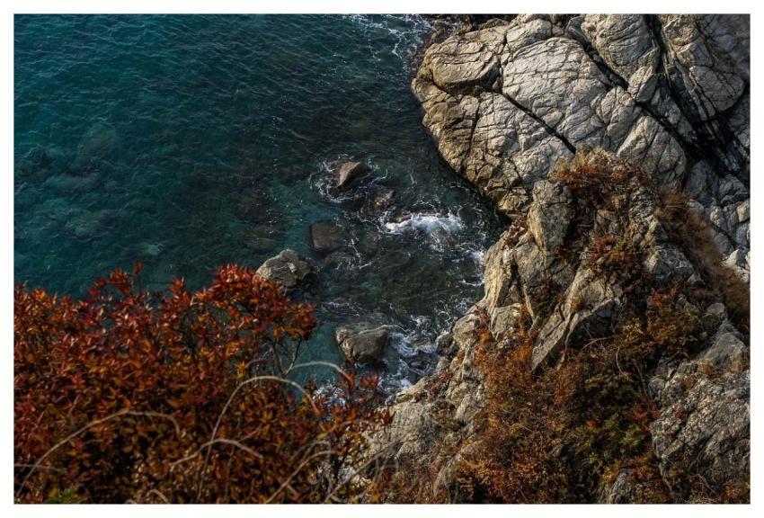 Sea Waves Rocks Water