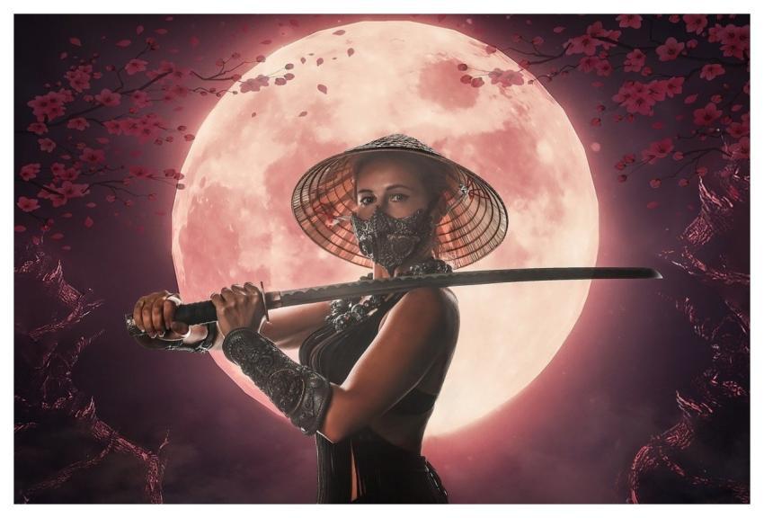Woman Samurai Ninja Cosplay