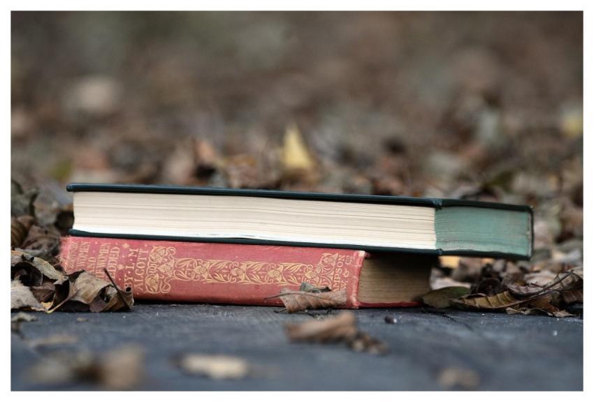 Books Literatures Leaves Brown Leaves