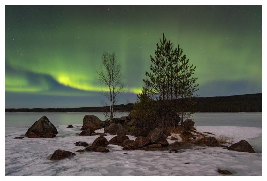 Tree Landscape Northern Lights Aurora