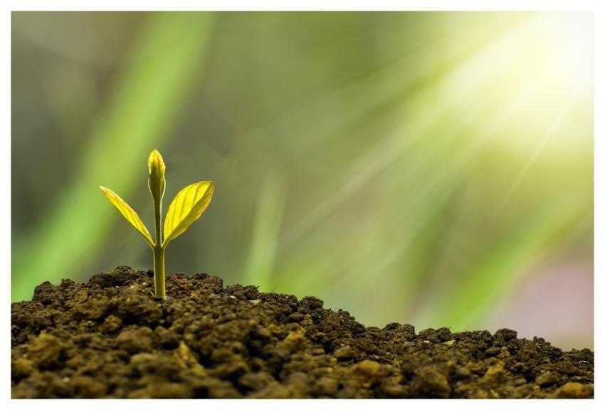 Investment Concept Business Finance