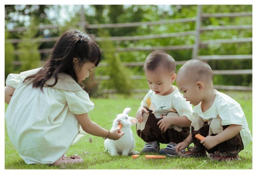 Kids Rabbit Nature Children