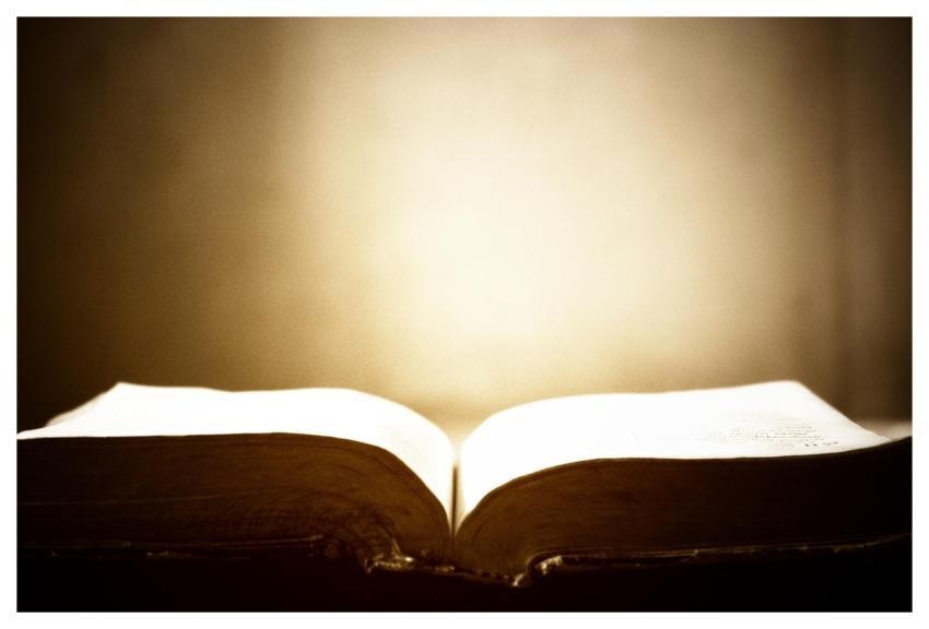 Book Pages Open Book Text