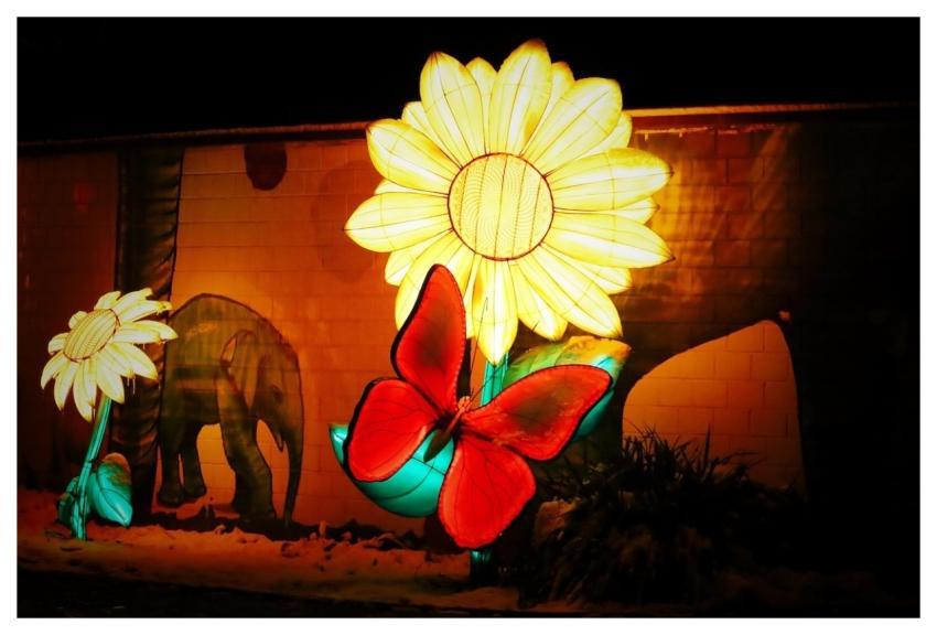 Light Art Light Sculpture Art Chinese Lights