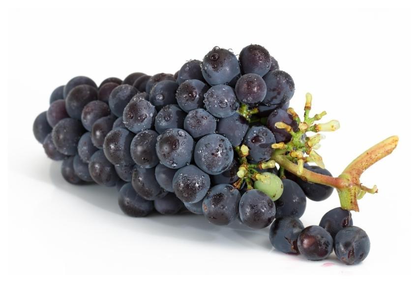 Grapes Bunch Fruits Viticulture