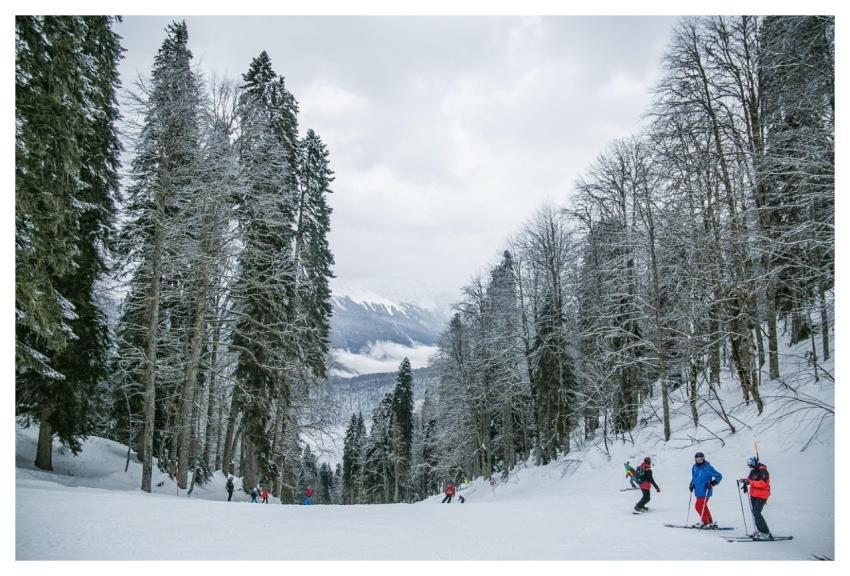 Snow Skiing People Trees