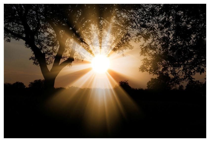 Sunlight Nature Outdoors Sunbeam