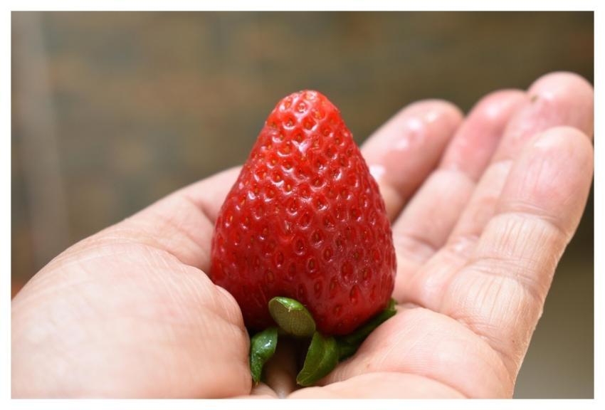 Strawberry Fruit Food Nature