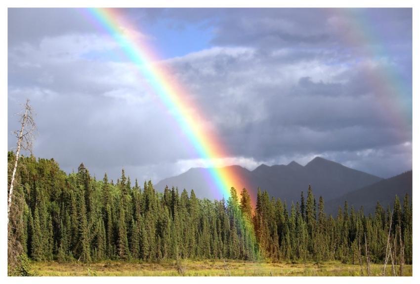 Rainbow Bow Rainbow Colors Double Rainbow