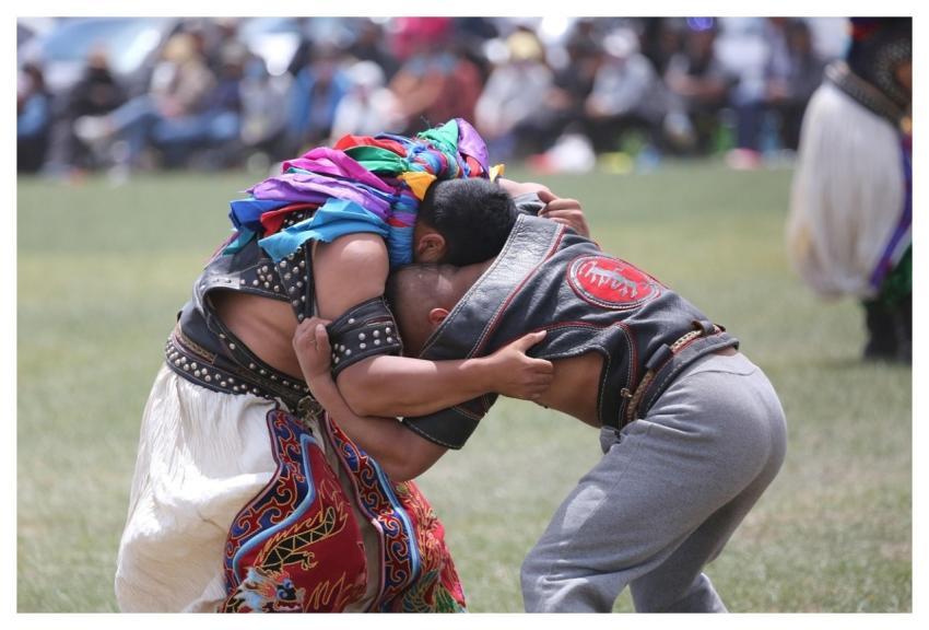 Mongolian Wrestle Wrestling Fight