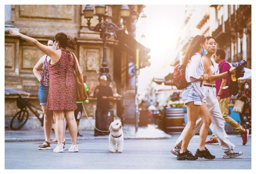 People Street Nature City