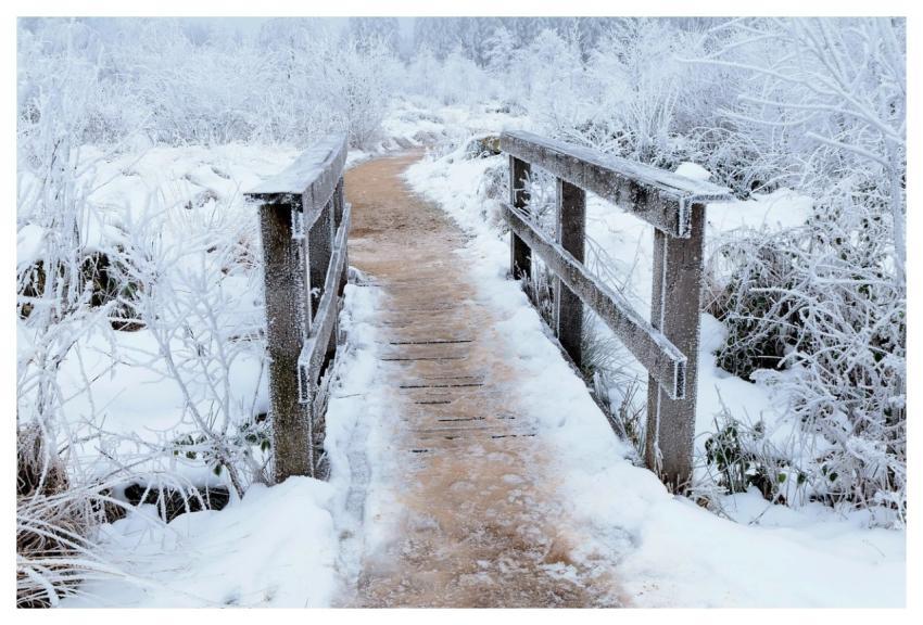 Bridge Winter Snow Pathway