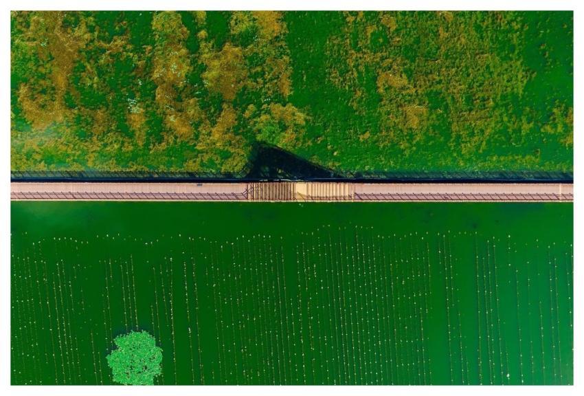 Aerial Lake Bridge Boat