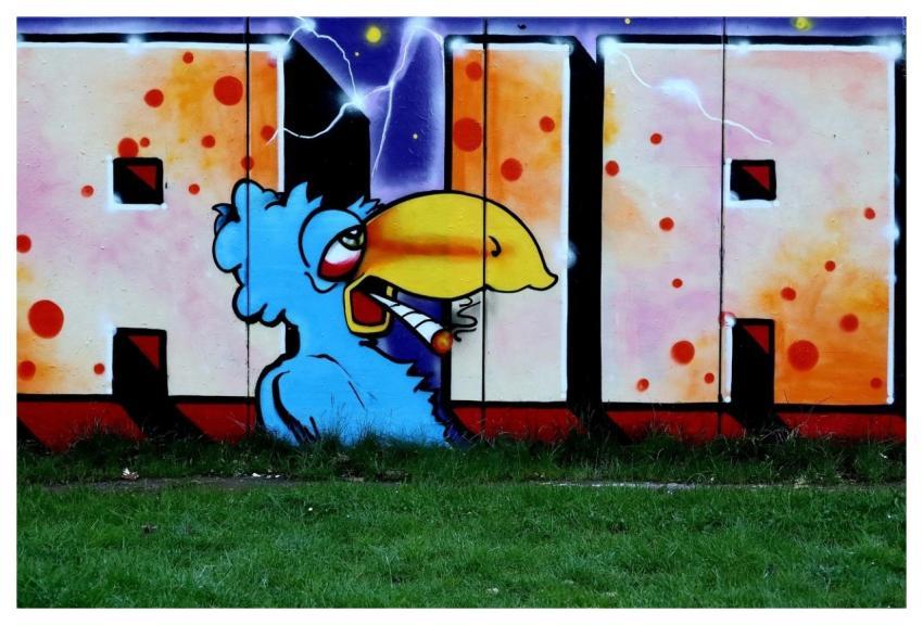 Street Art Art Graffiti Urban Art