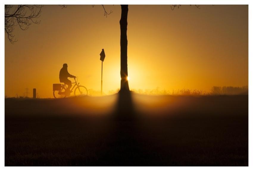 Sunrise Bicycle Nature Winter