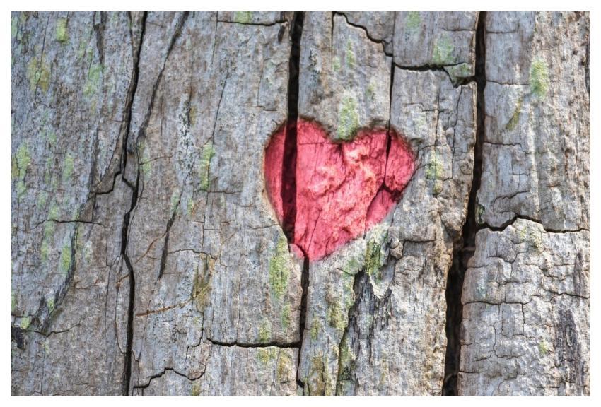 Heart Tree Engraving Love
