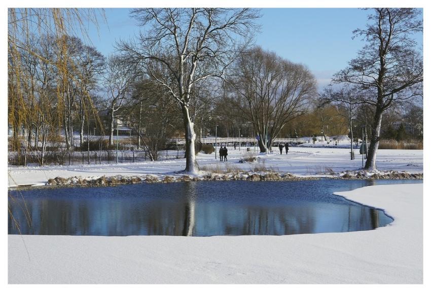 Lake Lagoon Snow Ice