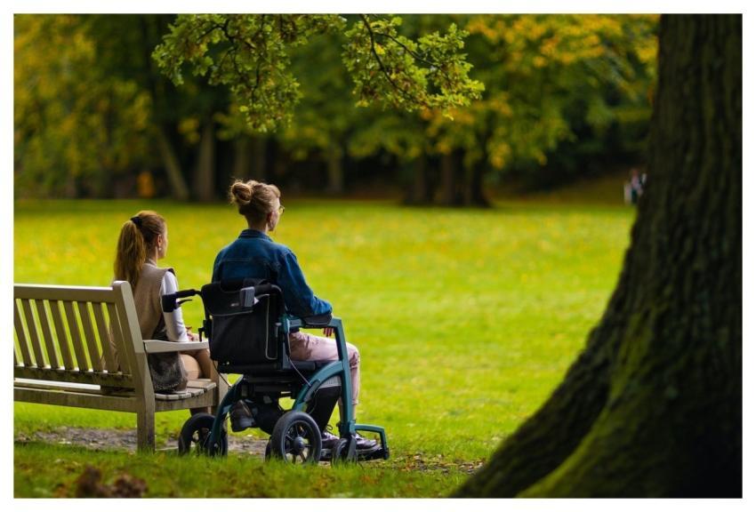 Rollator Walker Rollator Walker Bench