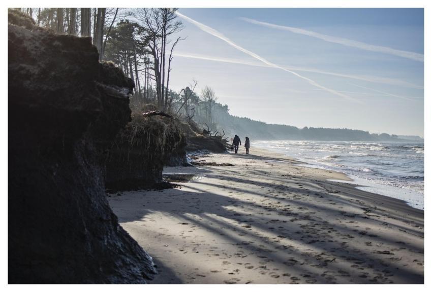 Sea Beach Ocean Water