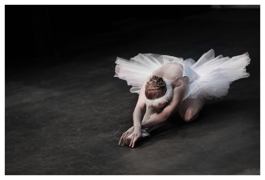 Ballerina Dancer Ballet Ballet Costume