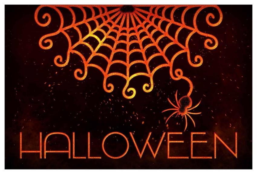 Halloween Halloween Background Spider Spider Web