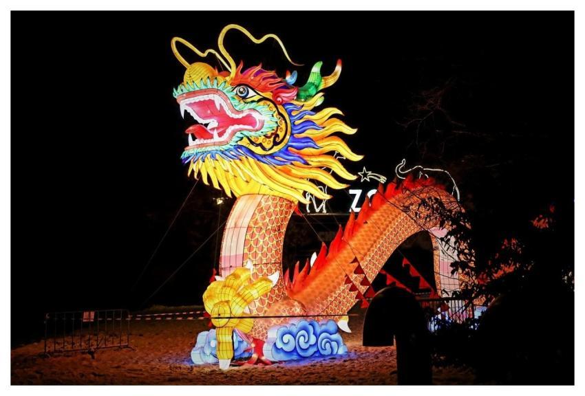 Dragon Decoration Light Sculpture Lantern