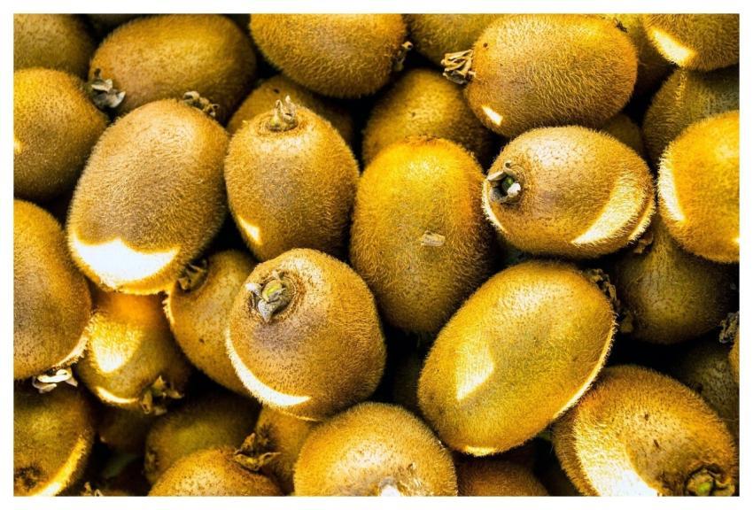 Kiwi Kivi Fruit Food