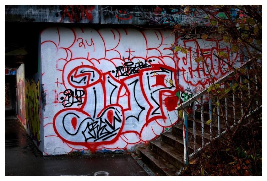 Street Art Graffiti Art Urban Art