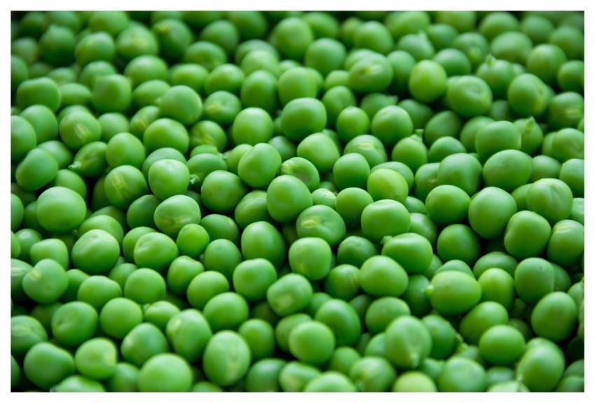 Peas Vegetables Free Background Desktop Background