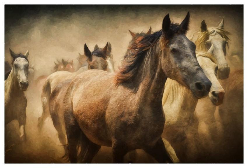 Painting Photo Painting Art Artwork