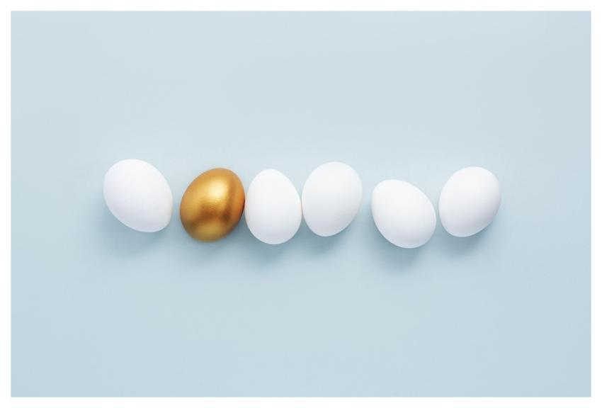 Egg Metaphor Winner Exclusivity