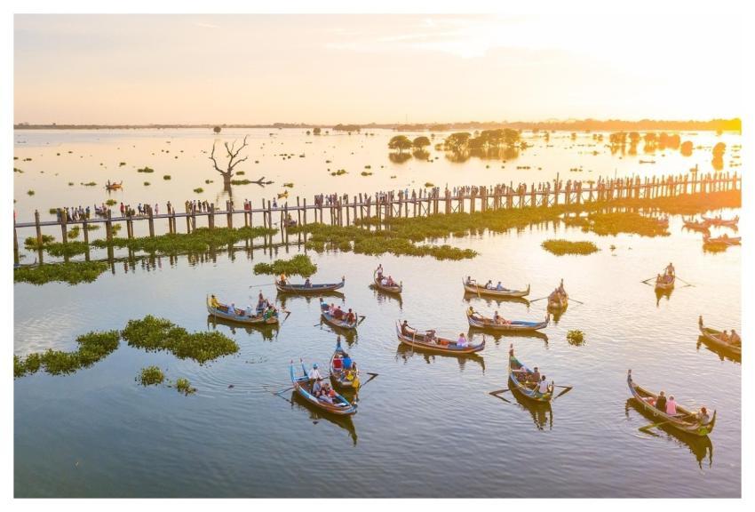 Lake Bridge Boats Rowing