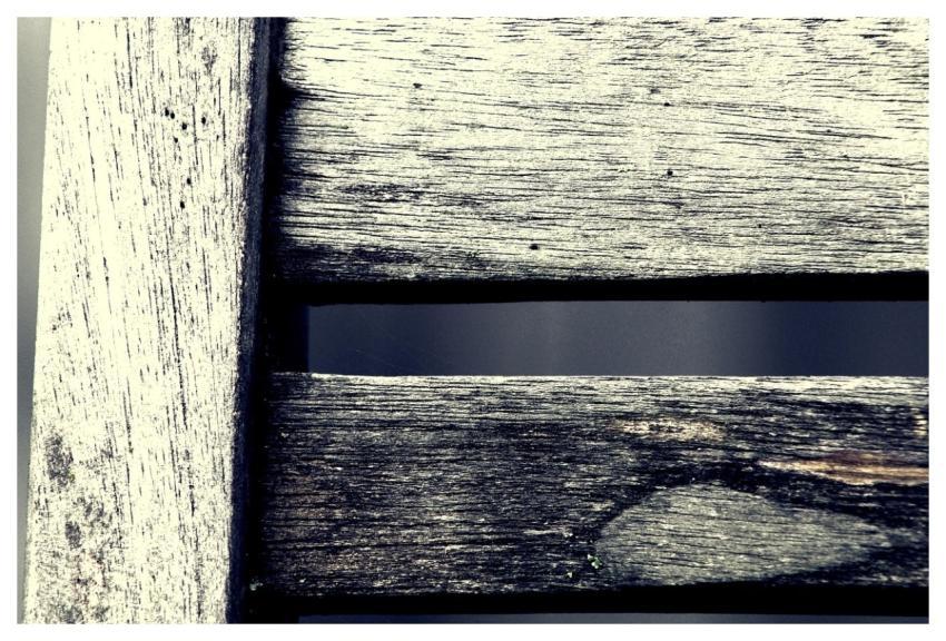 Garden Chair Close Up Blue