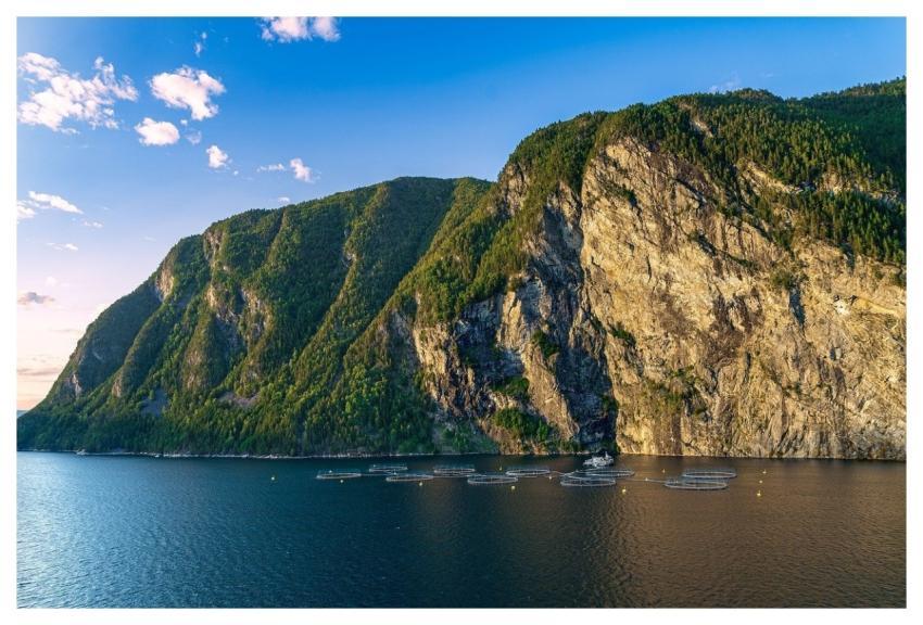 Mountains Norway Fjord Water