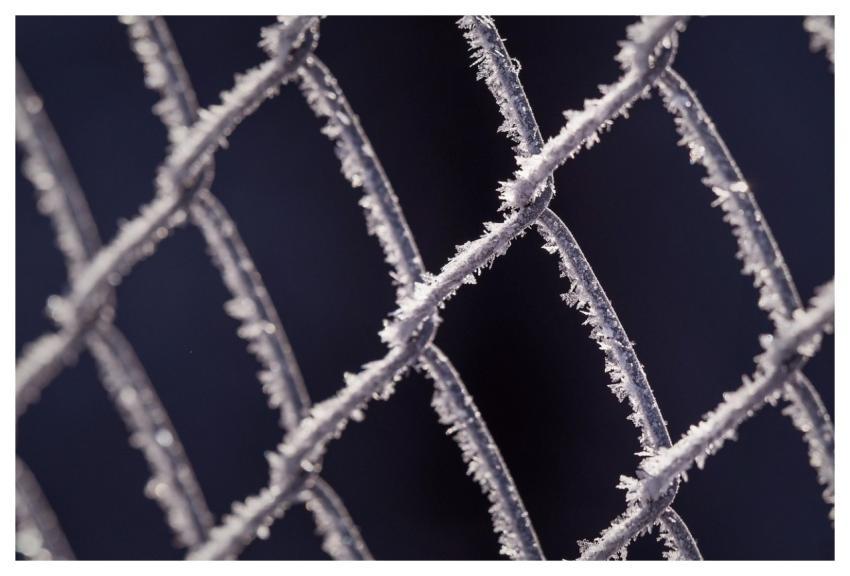 Fence Is Frost Crystal